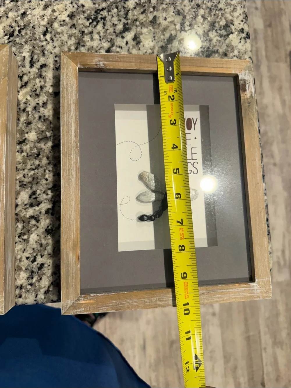 Rustic Wood-Frame butterfly/Dragonfly Shadow Box Wall Art – Gray and Natural